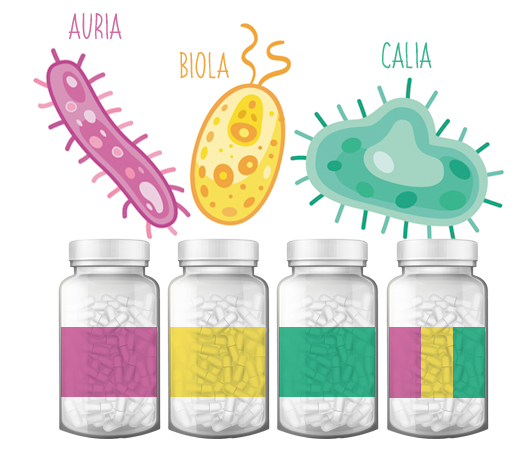 baktérie a antibiotiká