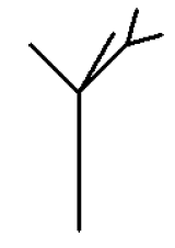Ilustrcia vetvenia seiek